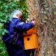 Installazione di cassette nido per assioli e upupe nel Parco Regionale Riviera di Ulisse, area protetta di Gianola e Monte di Scauri (Lazio). Foto: N. Marrone