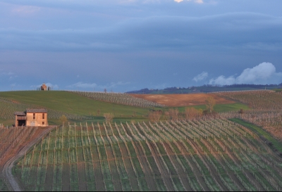 Val Tidone (Piacenza)- foto M. Mastrorilli